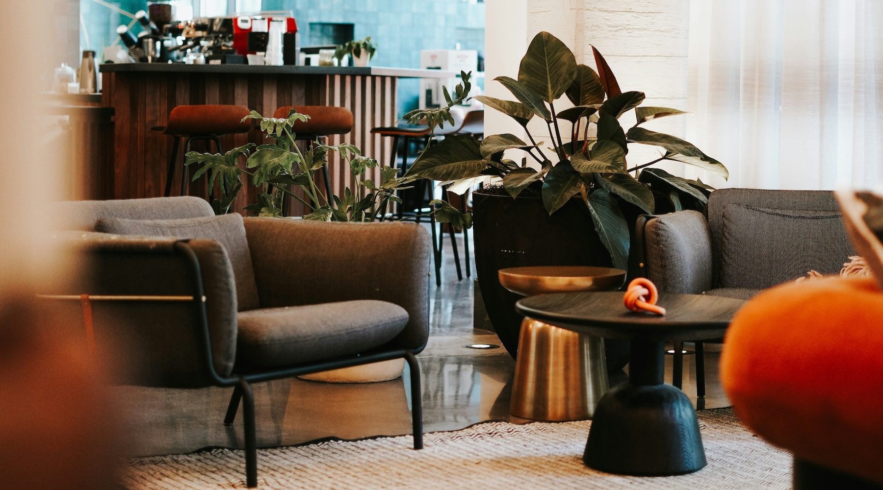 a room with chairs and a plant